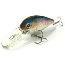Воблер Classical Leader 55 DR floating MS American Shad 270 Lucky Craft