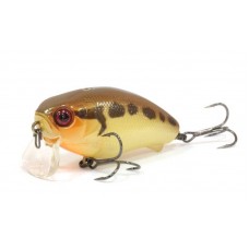 Воблер JACKALL Cherry Zero Footer 56F Gold Daruma