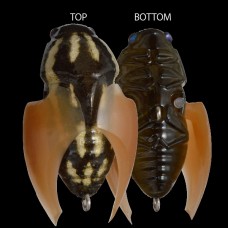Воблер MEGABASS BEETLE-X HOVER CRAWL KAMIKIRI II
