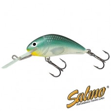 Воблер тонущий Salmo HORNET S 04/GBH