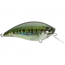 Воблер Yo-Zuri 3DB SQUARELIP SHALLOW 70 мм, 16.0 г R1105-PBB
